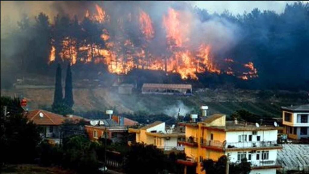 Fierce fire in Turkey, more than 60 forests destroyed, sad pictures surfaced